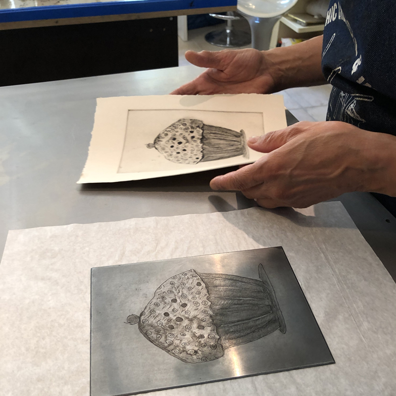 study printmaking in Italy